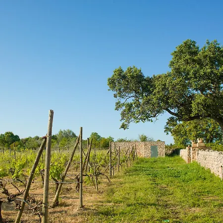 Sa Bassa Rotja Ecoturisme Séjour à la campagne