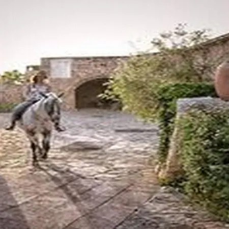 Sa Bassa Rotja Ecoturisme Country house Porreres